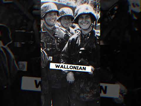 SS Divisions That Refused to Surrender at the End of the War