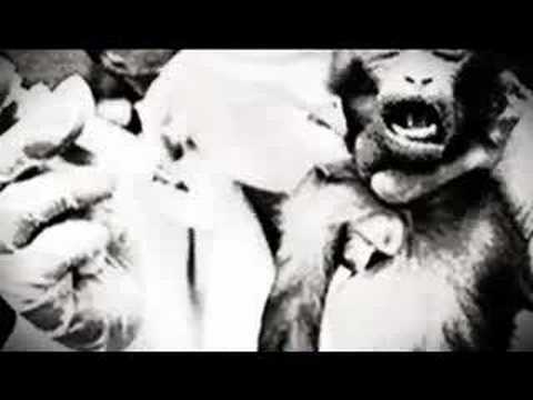 Video thumbnail for High-Tech et primitif
