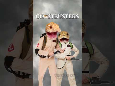 GHOSTBUSTERS! #halloweenwithshorts #halloween #ghostbusters