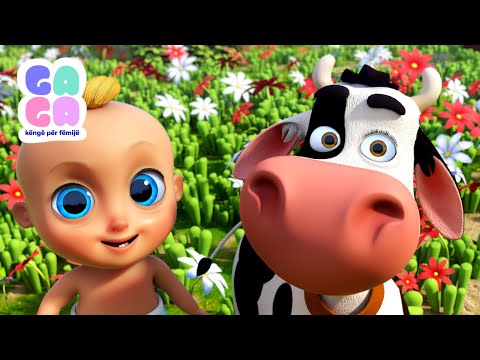 Lopa ime Lara | Ga Ga Këngë për fëmijë