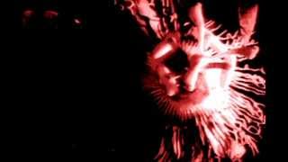 Chthonic Force (feat. Boyd Rice) - "Assume The Position"