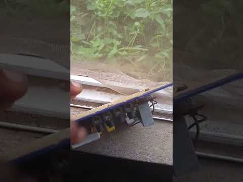 how to connect Local AVR for Generators