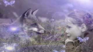 ♫♥♫  Emma Marrone - Se rinasci  ♫♥♫