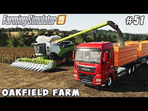 Cow care, carting silage, harvesting sunflower | Oakfield Farm | Farming simulator 19 | ep #51
