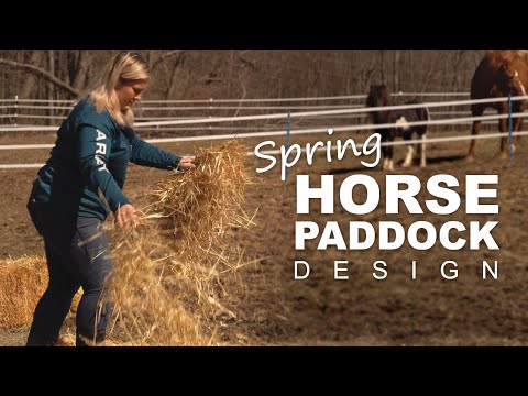 How To Design a Horse Paddock for Spring Grazing 