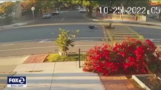 Driver plows into grandmother, toddler in marked San Jose crosswalk