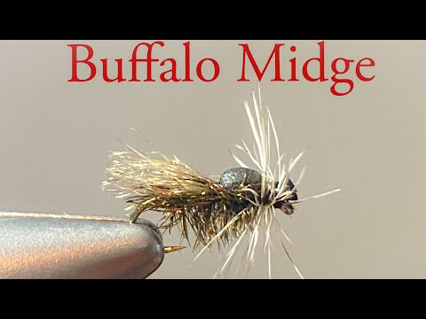 Buffalo Midge