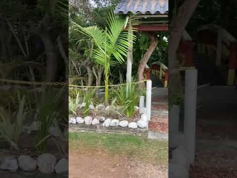 Casa com 1 quarto e 50m² à venda em Arroio Novo, Arroio do Sal.