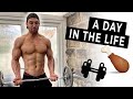 A Day in the life of a amateur bodybuilder ( My Routine in offseason )