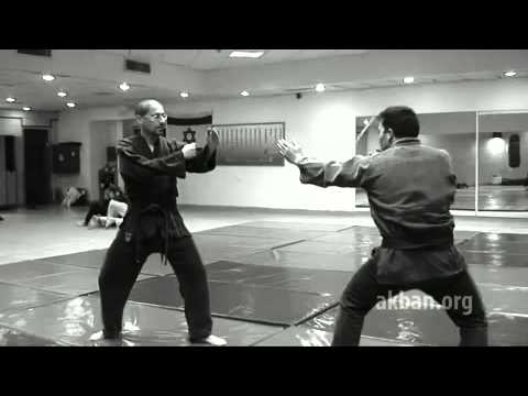 Sakanagare no kata   1st level Gyokko ryu for Akban wiki
