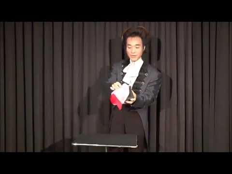 Saturn Magic -Dice and Silk (Zebra) by Tora Magic - Trick