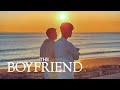 FMV The Boyfriend | Glen Check - Dazed & Confused