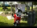 AND THE COW SAYS MOO
