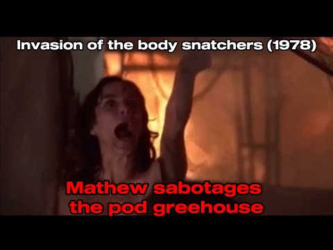 Invasion of the body snatchers (1978)   Matthew sabotages the pod greenhouse 