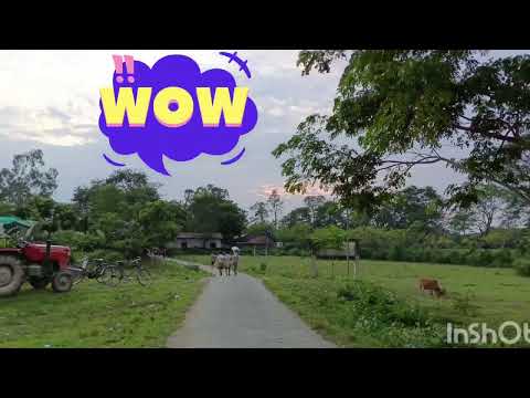 Chumki Simple life hasi khusi #nice place #tinsukia#monkhusi#viralvideos #