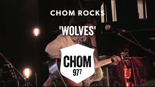 The Barr Brothers - Wolves