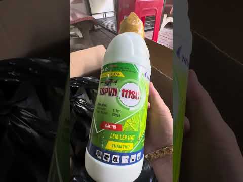 Nông dân cần biết - Hiểu về GA3 đầy đủ nhất? Cách sử dụng GA3 hiệu quả nhất