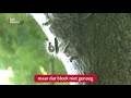 Bestrijding eikenprocessierups kost Utrecht twee ton | RTV Utrecht