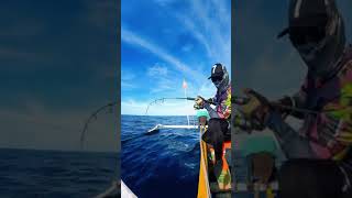 Download lagu Kazoku Strike. Fishing Mania Strike at Sea  #angler #fish #shimano  #fishing mp3