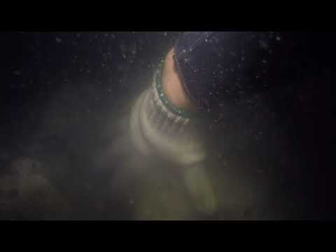 -6.5 to -7 mPD 大石情況 Part 2 (08092017)