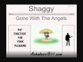 Shaggy - Gone With The Angels