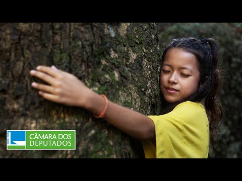 Esforço por preservação da Amazônia tem reconhecimento internacional - 10/4/24