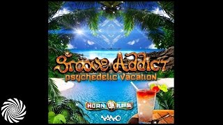 Groove Addict - Toad Licker