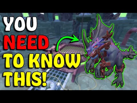 Tips & Tricks To Improve At RAKSHA!