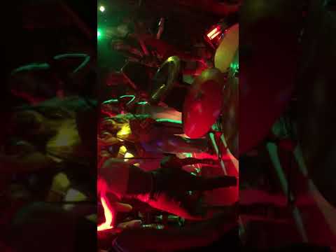 Bugs and Roots family - Is this love