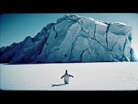 Sora AI 🔮 Dreamscapes – Beyond Imagination! Vol  17 🚀🎬 #SoraVideos 16