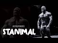 195 Stanimal
