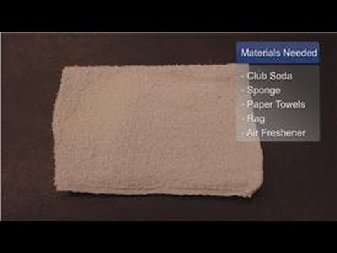 Cleaning Pet Odors & Stains : How to Clean Cat Urine...