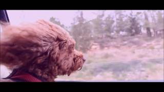 Any Other Day - X-Sonic