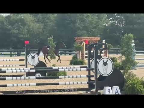 OJOTTIE WB video 2