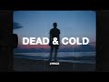 SadBoyProlific - Dead and Cold (Lyrics) | i wish i was dead and cold