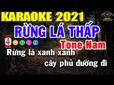 Rừng Lá Thấp Karaoke Tone Nam Nhạc Sống 2021 | Trọng Hiếu