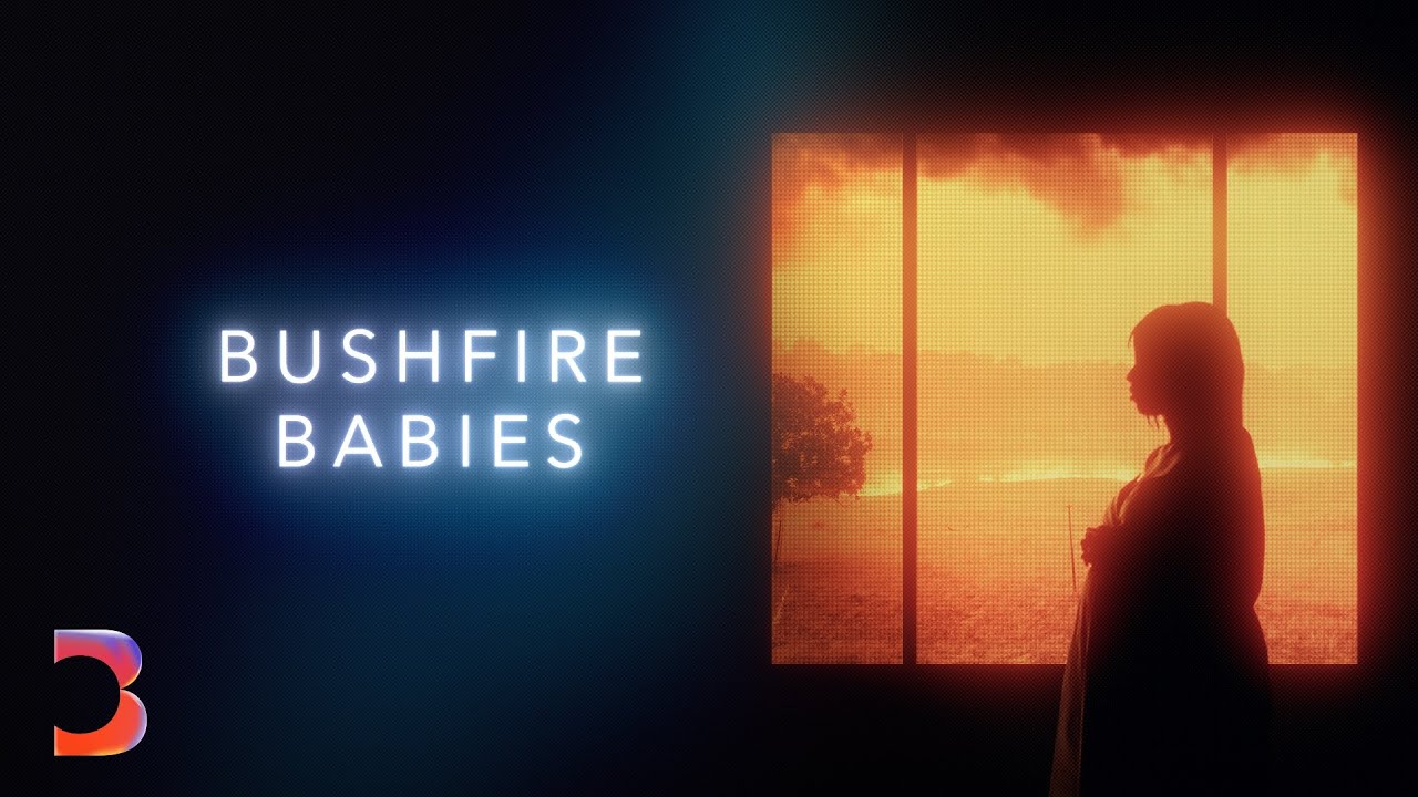 How Australian Wildfire Smoke Left Behind a Human Tragedy