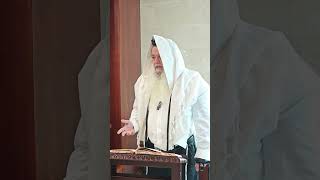 מתי אפשר לומר קדיש? (הרב יגאל כהן) - התמונה מוצגת ישירות מתוך אתר האינטרנט יוטיוב. זכויות היוצרים בתמונה שייכות ליוצרה. קישור קרדיט למקור התוכן נמצא בתוך דף הסרטון