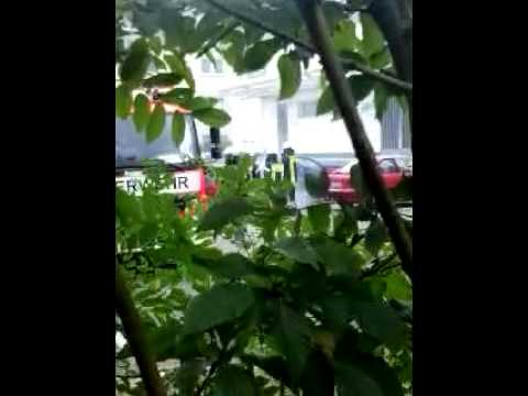 Autobrand In K�ln Longerich    Wilh.-Sollmann-Str.