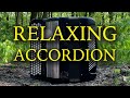 Accordion Relaxing Music 🪗