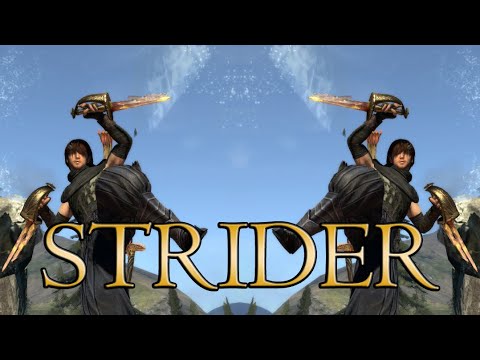 Dragon's Dogma Class Guide: STRIDER