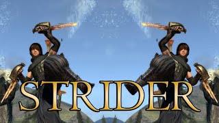 Dragon's Dogma Class Guide: STRIDER