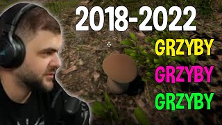 Symulator grzybobrania, który nadal wygląda jak... ?? - Mushrooms: Forest Walker