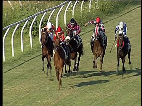 Galoppo 24/07/2019 - 1ª corsa