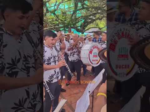 Mosaico Currambero ~ Banda San Juan De Caimito #porrosbonitos #bandatradicional #launionsucre
