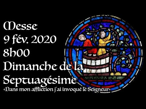 Septuagesima Sunday 2020 - 8:00 a.m. Mass