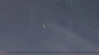化石がシージしてみた236