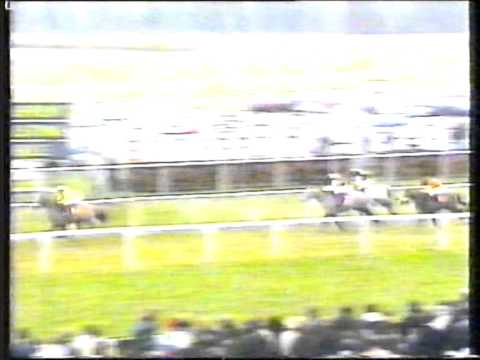 1993 - Kempton - Christmas Hurdle - Muse
