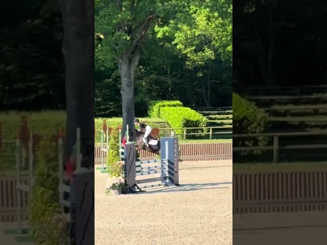 Poney de 6 ans &agrave; vendre 