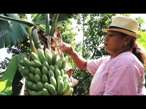 Agricultura Familiar